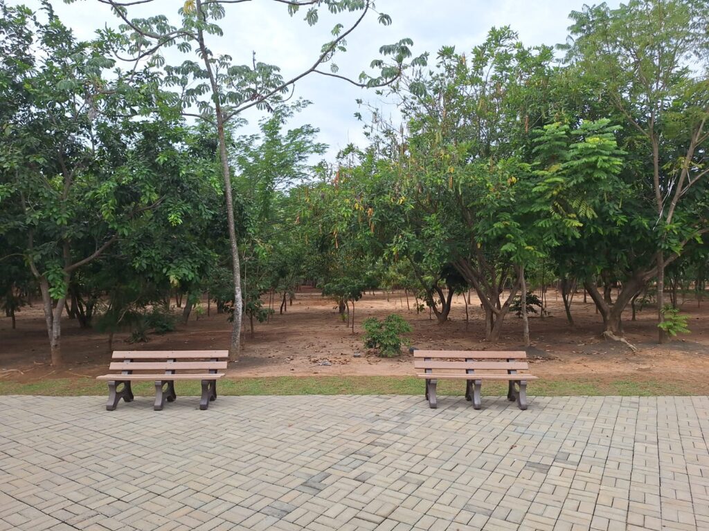 terreno (7)